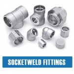 Stainless Steel 310S Forged Fittings
