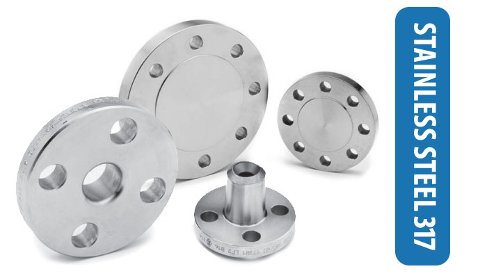 SS 317 Flanges